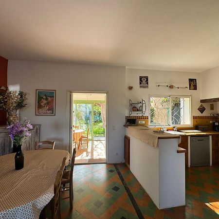 La Boissetane, Maison Provencale Avec Piscine Et Jardin, Au Pied Du Luberon Saint-Martin-de-Castillon Exterior photo